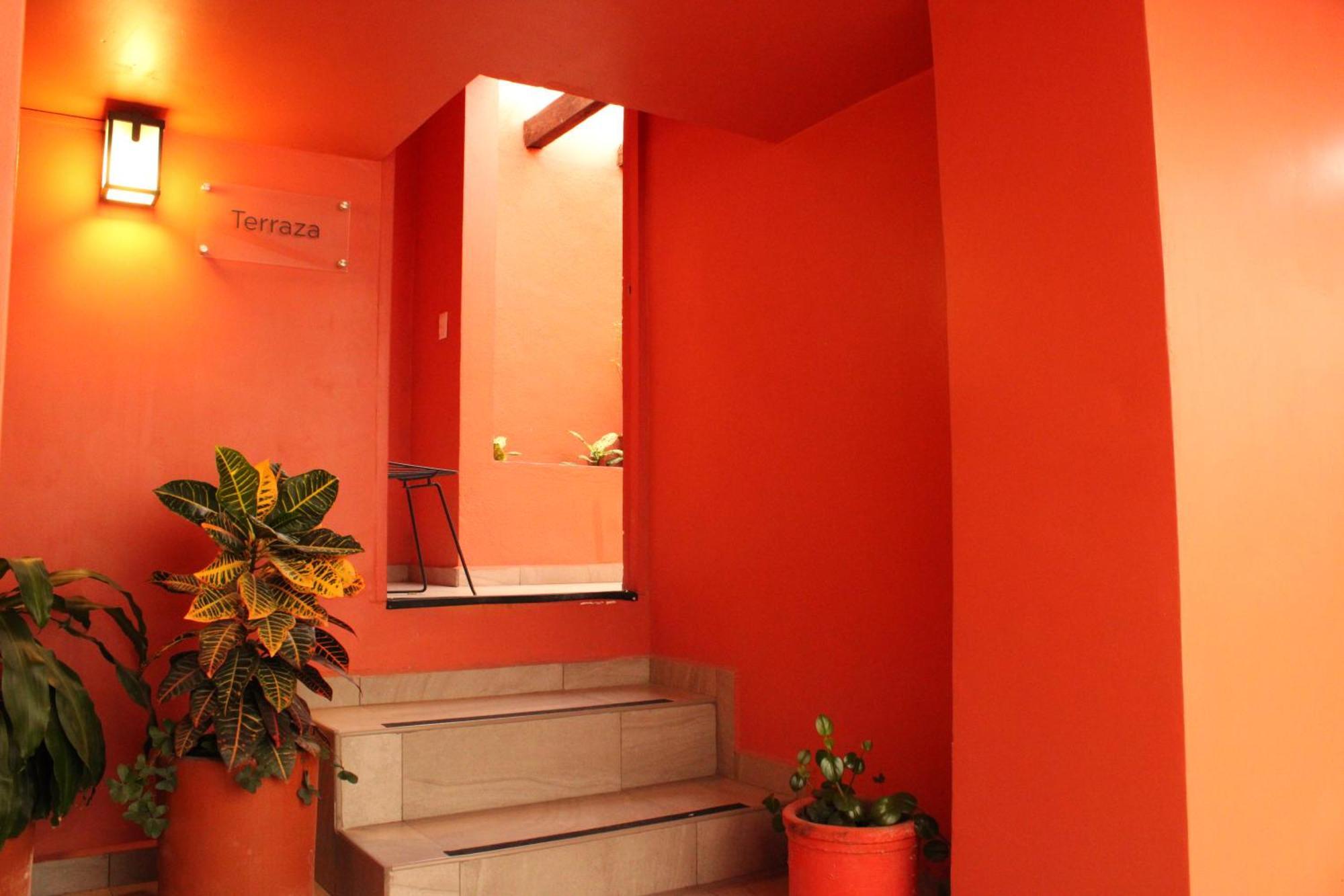 Lu De Anda Hotel Boutique San Luis Potosí Eksteriør billede