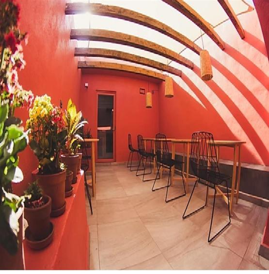 Lu De Anda Hotel Boutique San Luis Potosí Eksteriør billede